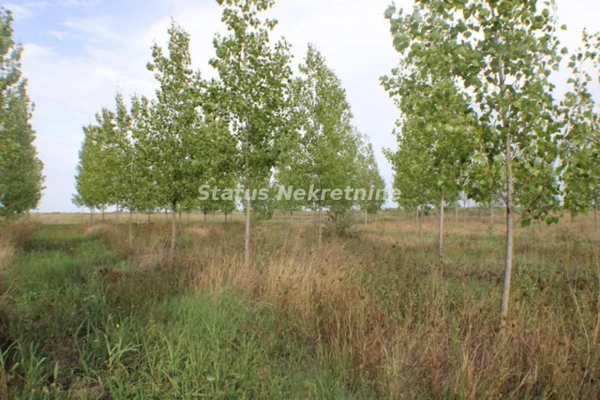 Prodaja, plac, 1378m², Zrenjanin, Srbija