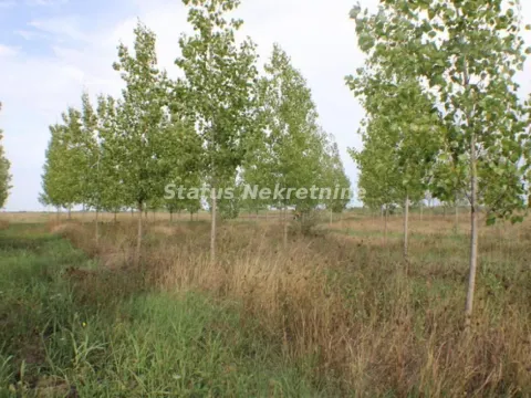 Prodaja, plac, 1378m², Zrenjanin, Srbija - image 25