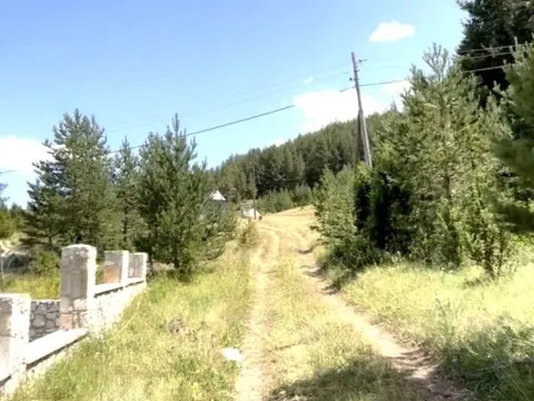 Prodaja, plac, 1724m², Borje, Žabljak - image 3