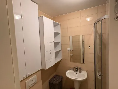 Rent, one bedroom apartment, 33m², Zabjelo, Podgorica - image 6