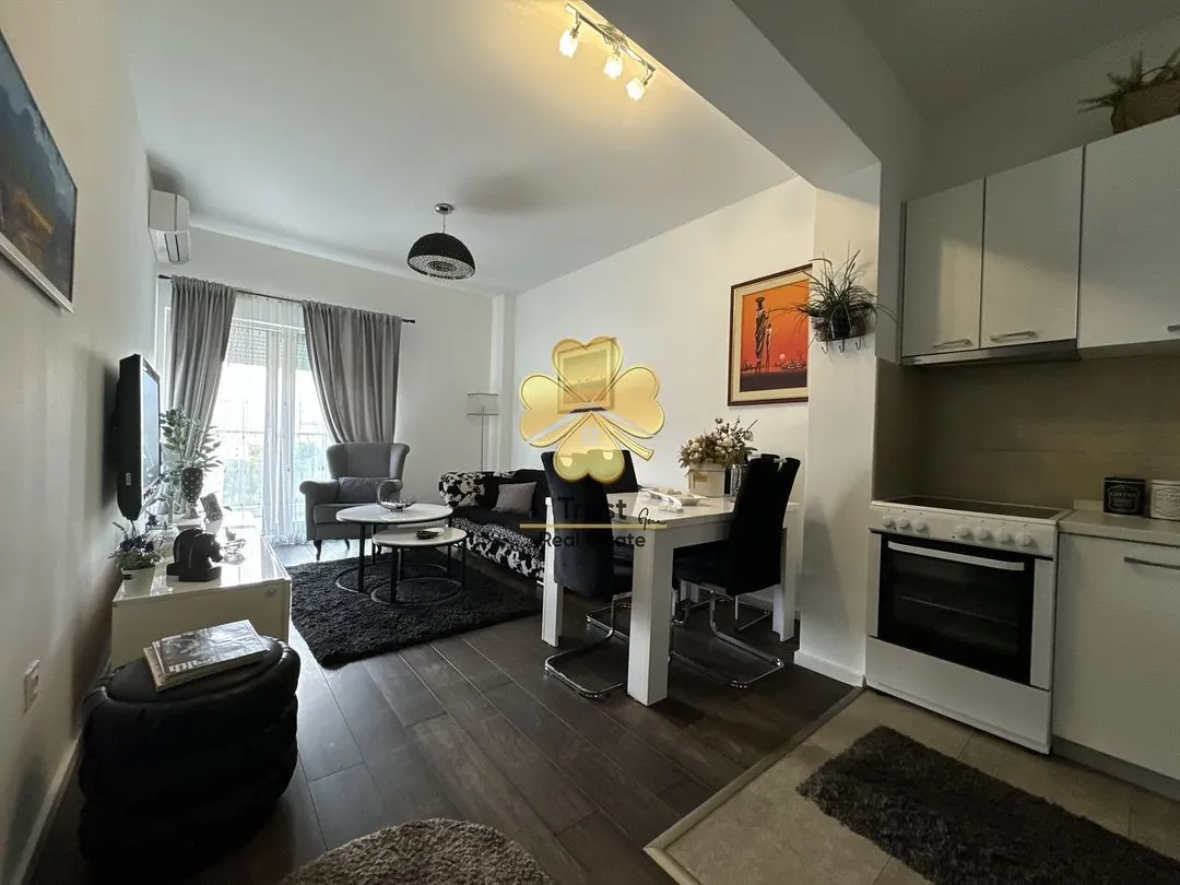 Rent, one bedroom apartment, 50m², Vezirov Most, Podgorica
