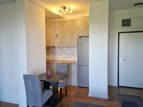 Rent, two bedroom apartment, 44m², Mali Mokri Lug, Zvezdara Sve Podlokacije - image 2