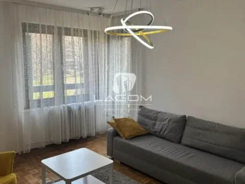 Izdavanje, dvosoban stan, 70m², Višnjička Banja, Palilula Sve Podlokacije - image 4