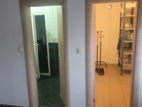 Izdavanje, poslovni prostor, 750m², Veternik, Novi Sad Sve Podlokacije - image 9