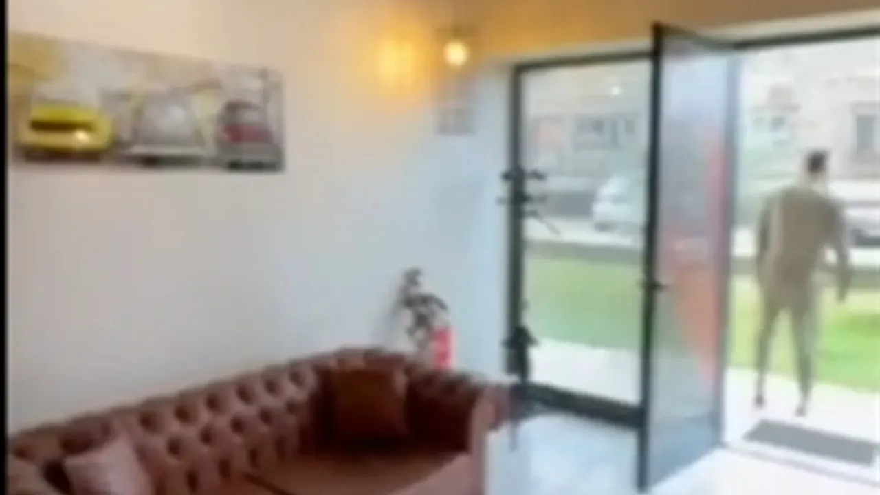 Izdavanje, poslovni prostor, 51m², Zabjelo, Podgorica