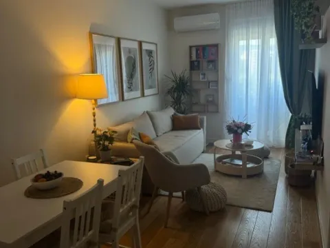 Izdavanje, jednosoban stan, 40m², Central Point, Podgorica - image 12