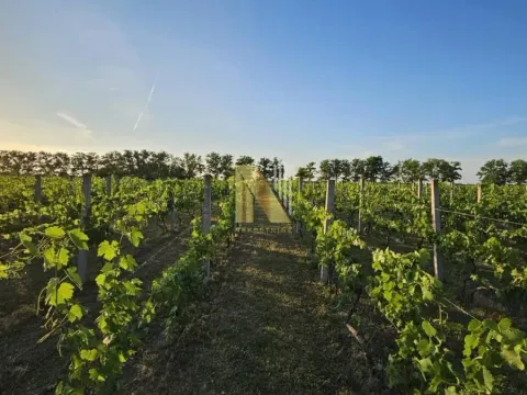 Sale, house, 230m², Srbobran, Novi Sad - image 59