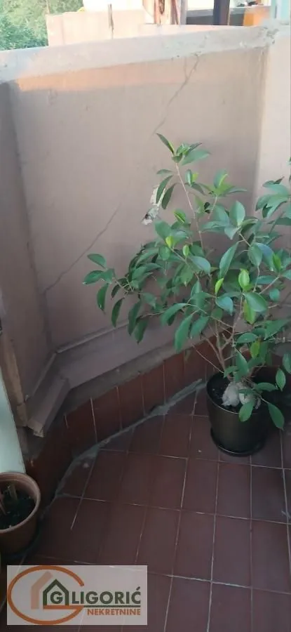 Prodaja, trosoban stan, 78m², Bezanijska Kosa 1, Bežanijska Kosa Sve Podlokacije