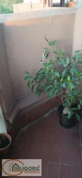 Prodaja, trosoban stan, 78m², Bezanijska Kosa 1, Bežanijska Kosa Sve Podlokacije - image 10
