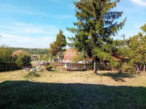 Prodaja, kuća, 324m², Mislodjin, Obrenovac - image 7