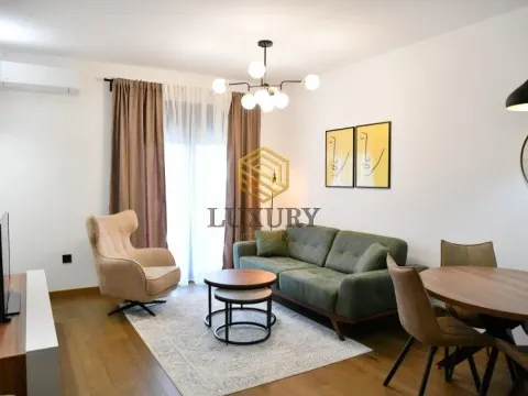 Izdavanje, jednosoban stan, 48m², Ljubović, Podgorica - image 1