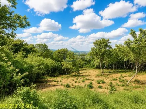 Sale, land lot, 2600m², Novi Slankamen, Inđija - image 3
