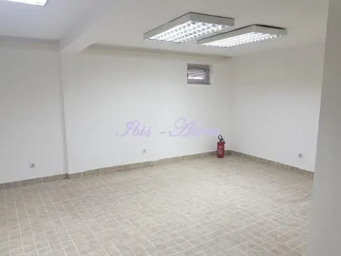 Izdavanje, poslovni prostor, 387m², Savski Venac, Beograd - image 13