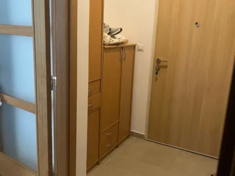 Izdavanje, jednosoban stan, 48m², Stari Aerodrom, Podgorica - image 6