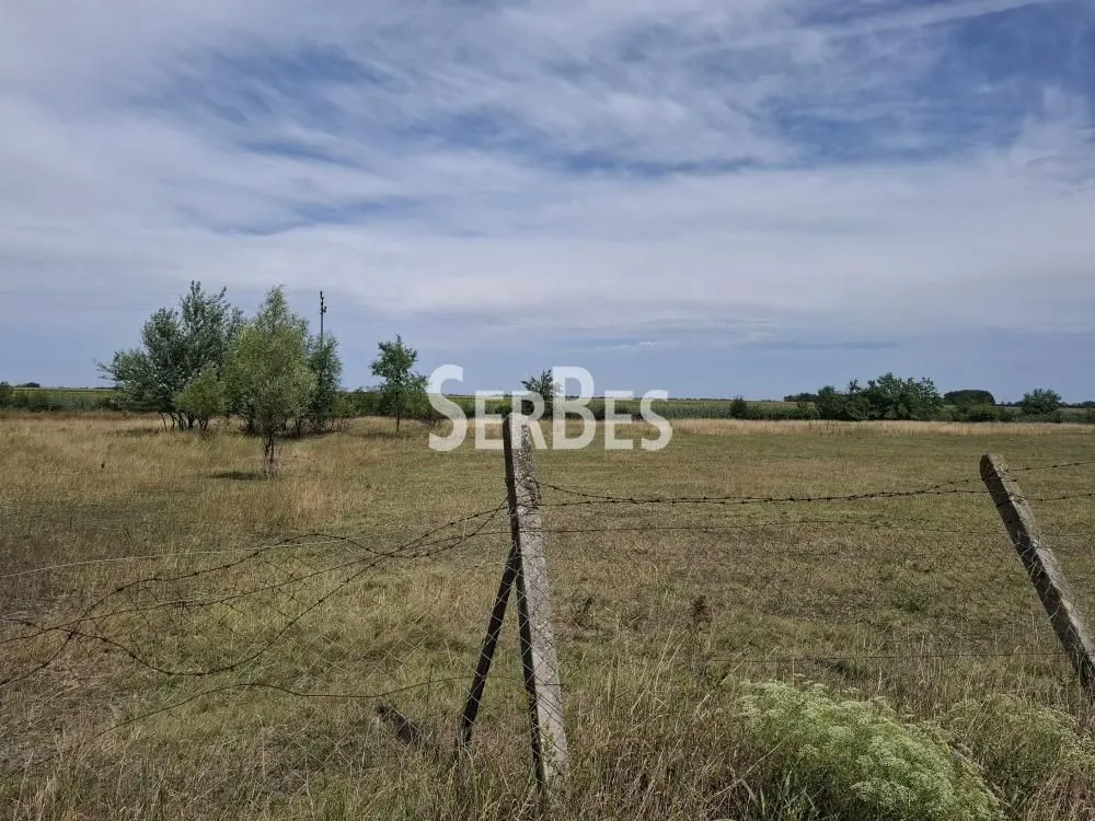 Prodaja, plac, 19197m², Čenej, Novi Sad Sve Podlokacije