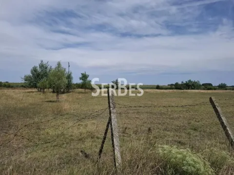 Prodaja, plac, 19197m², Čenej, Novi Sad Sve Podlokacije - image 9