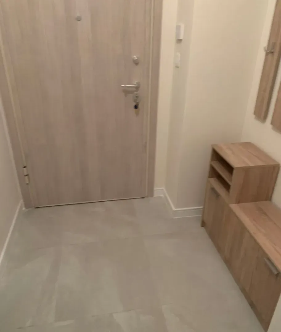 Izdavanje, jednosoban stan, 49m², Central Point, Podgorica