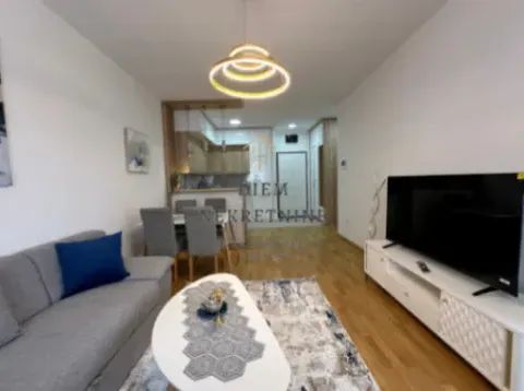 Izdavanje, jednosoban stan, 47m², Stari Aerodrom, Podgorica - image 5