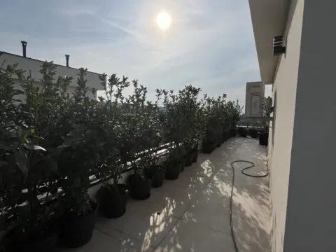 Sale, apartment, 145m², Sremska Kamenica, Petrovaradin - image 5