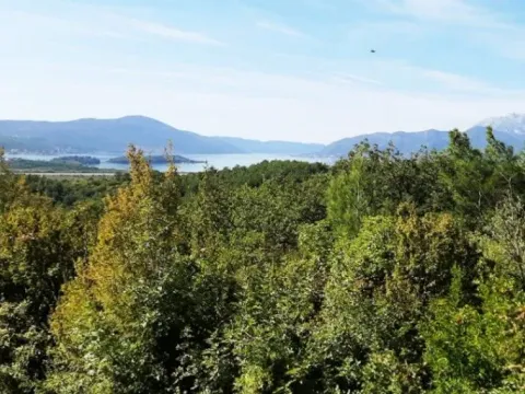 Sale, land lot, 1650m², Kavač, Kotor - image 3