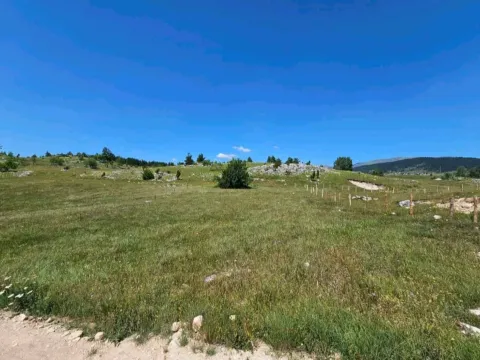 Prodaja, plac, 543m², Žabljak, Crna Gora - image 3