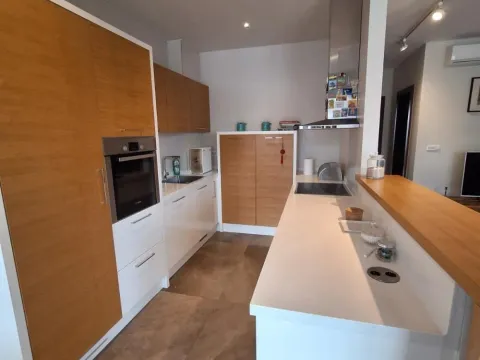 Izdavanje, trosoban stan, 102m², Vračar Hram, Vračar Sve Podlokacije - image 6