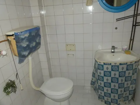 Prodaja, kuća, 340m², Levač, Jagodina - image 8