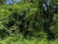 Sale, house, 2401m², Rogami, Podgorica - image 9