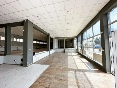 Izdavanje, poslovni prostor, 850m², Zemun Sve Podlokacije, Beograd - image 4