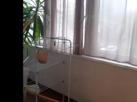 Prodaja, trosoban stan, 75m², Zemun Gornji Grad, Zemun Sve Podlokacije - image 10