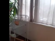 Prodaja, trosoban stan, 75m², Zemun Gornji Grad, Zemun Sve Podlokacije - image 10