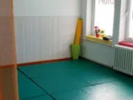 Izdavanje, poslovni prostor, 500m², Kneževac, Beograd - image 7