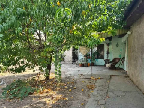 Prodaja, kuća, 70m², Novo Selo, Subotica - image 3