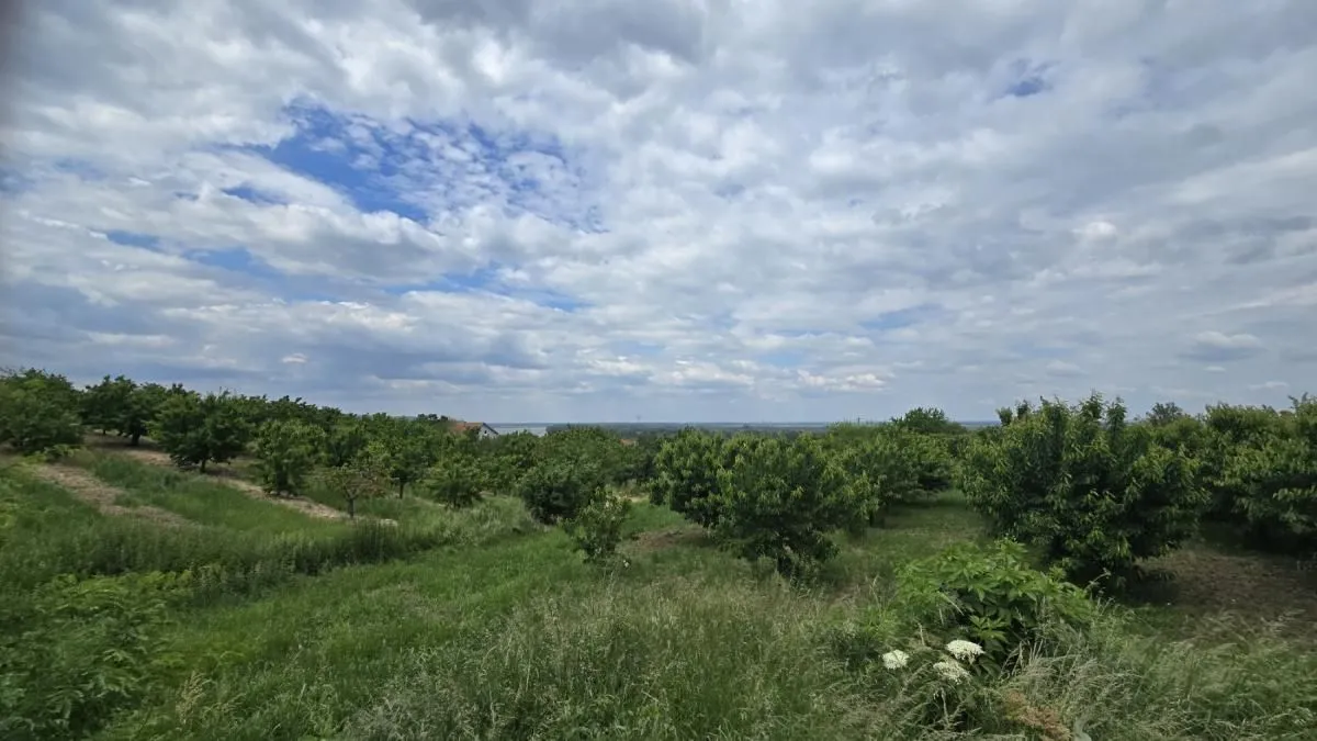 Prodaja, plac, 1100m², Ritopek, Grocka