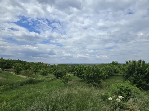 Prodaja, plac, 1100m², Ritopek, Grocka - image 8