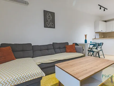 Izdavanje, jednosoban stan, 45m², Podgorica, Crna Gora - image 2