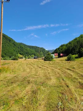 Seoski pejzaž sa livadom i planinama u pozadini. - image 6