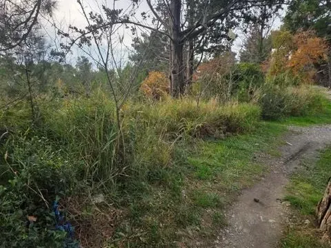 Prodaja, plac, 804m², Ratac, Bar - image 2