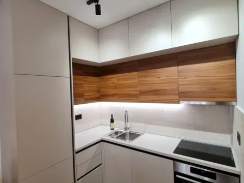 Rent, one bedroom apartment, 50m², Ljubović, Podgorica - image 2