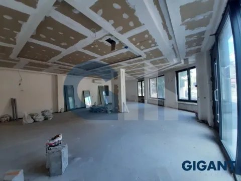 Izdavanje, poslovni prostor, 95m², Lipov Lad, Zvezdara Sve Podlokacije - image 4