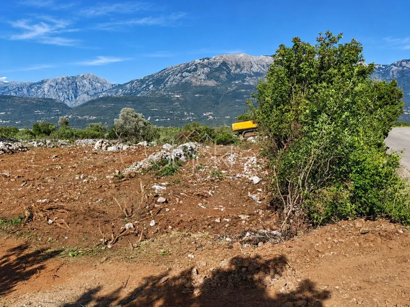 Pogled na plac sa krupnim rastinjem i planinama u pozadini.