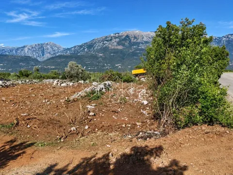 Pogled na plac sa krupnim rastinjem i planinama u pozadini. - image 6