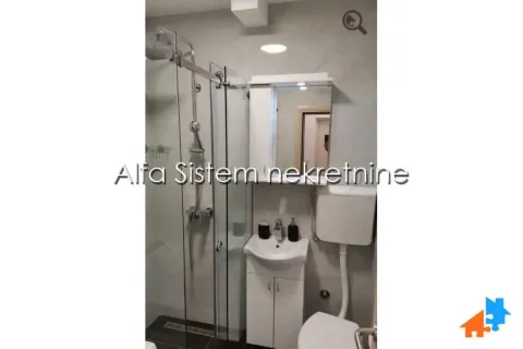 Izdavanje, dvosoban stan, 60m², Stari Merkator, Novi Beograd Sve Podlokacije - image 12