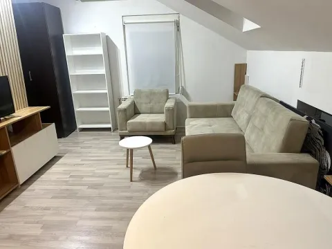 Rent, one bedroom apartment, 30m², Zvezdarska Šuma, Zvezdara Sve Podlokacije - image 2