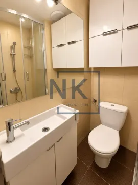 Compact bathroom equipped with a washbasin, toilet, shower cabin, and wall-mounted cabinets. - image 9