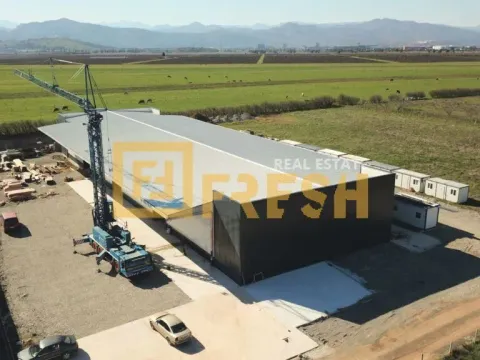 Izdavanje, poslovni prostor, 1500m², Tuzi, Podgorica - image 8