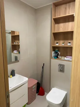 Small bathroom with a sink, toilet, and wooden shelving. - image 9