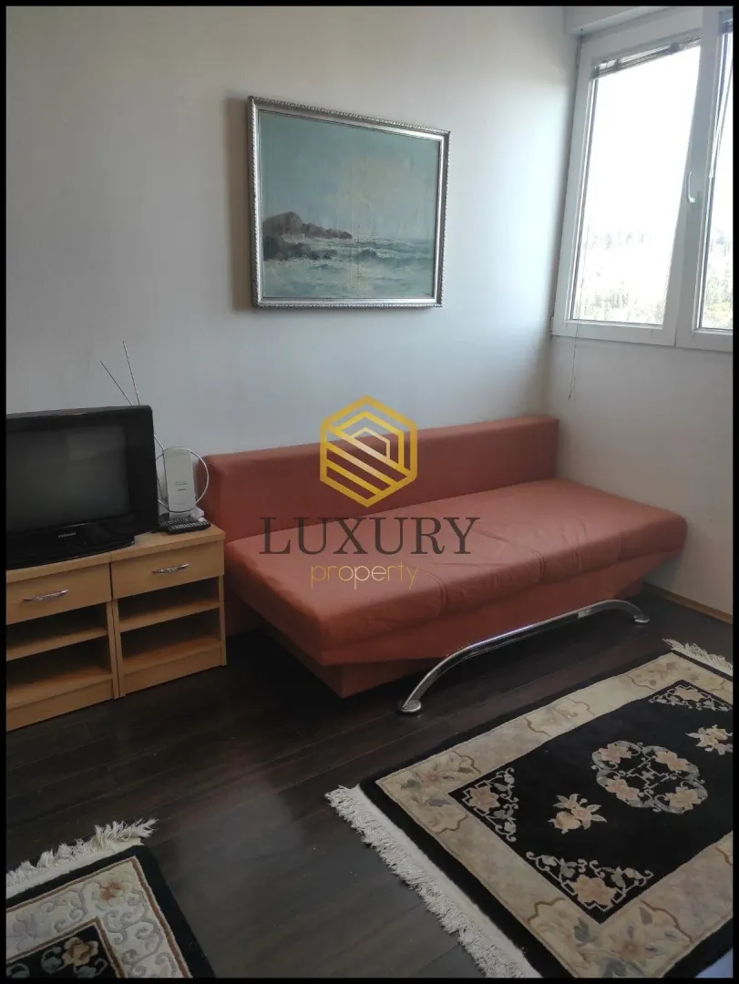 Living room with a sofa, TV, and window.