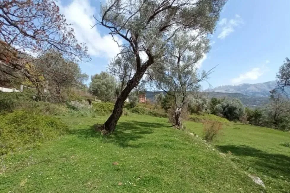 Zelena površina sa drvećem i pogledom na okolnu prirodu.
