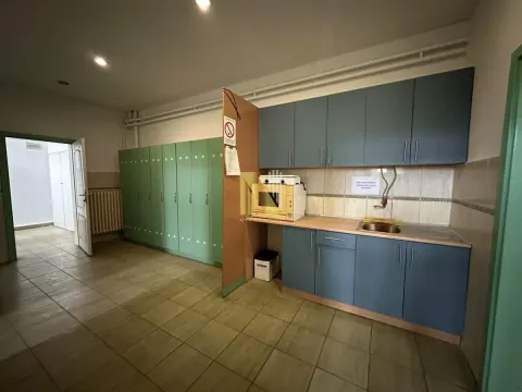 Small kitchen with blue cabinets and green lockers in the extension. - image 10